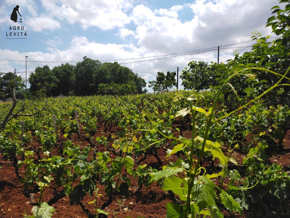 Agro Levita Locorotondo Luaran gambar